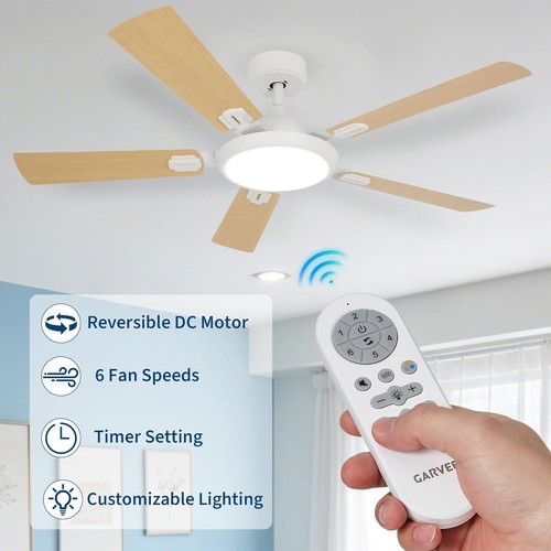 Led ceiling fan - ceiling,