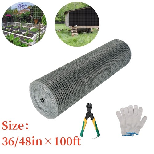 Galvanized chicken wire - galvanized,