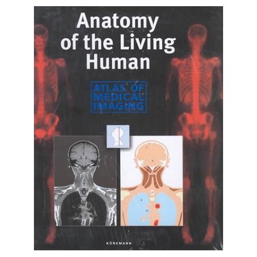 Anatomy the living human - of,