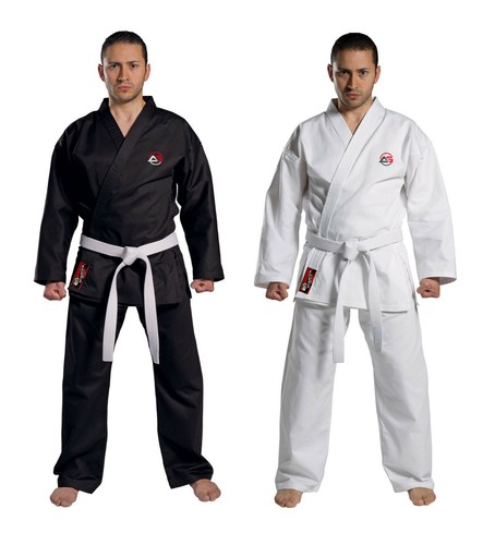 Adult kids karate - adult, aikido