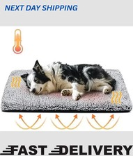 Self Heating Pet Mat Warm Dog