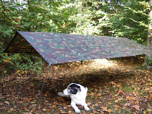 Dpm woodland camo waterproof - woodland,