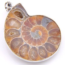 Xmas Holiday Jewelry Gift  Natural Ammonite Fossil Gems Silver Necklace Pendant