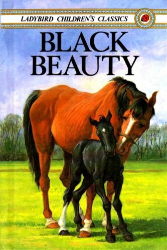 Black beauty ladybird - black,