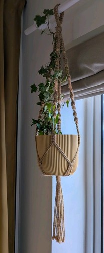 Macrame plant hanger - plant,