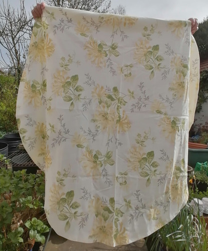 Laura ashley honeysuckle trail - honeysuckle,