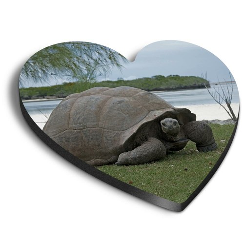 Heart mdf magnets - mdf, aldabra