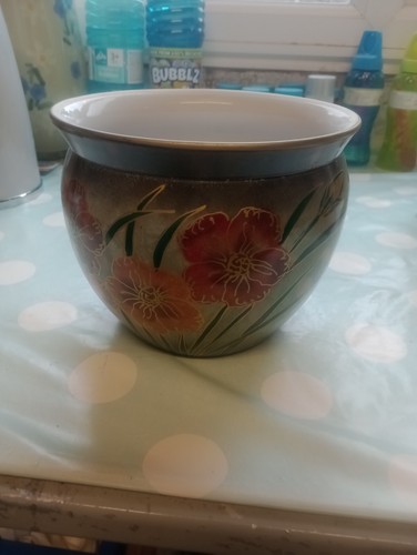 Kewdos ltd vintage - ltd, plant