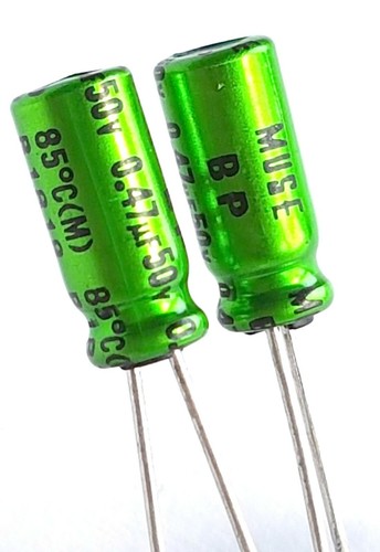 Nichicon muse audio capacitor - audio,