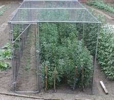 FRUIT & VEG CAGE / 2M x 2M x