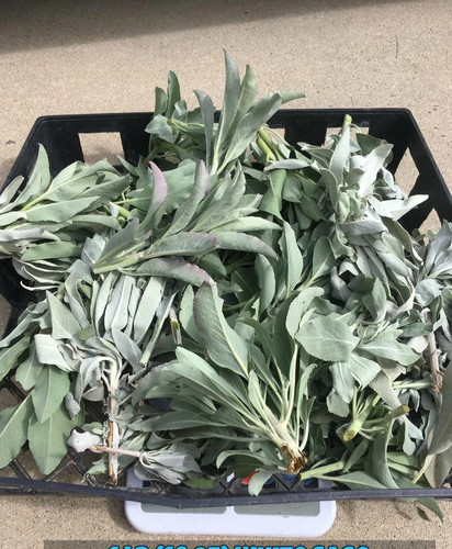 Fresh organic - 1, lb