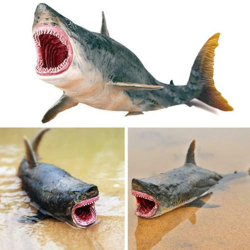Realistic megalodon shark - realistic,