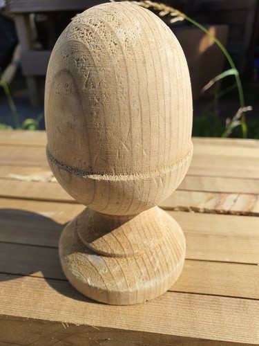 Treated wooden acorn - ,
