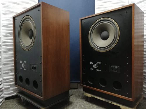 Arden early alnico 15in - alnico, dual
