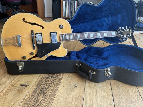 Ibanez fg100 fill - ibanez, hollowbody