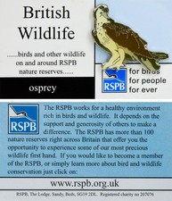 RSPB Pin Badge FBFPFE British