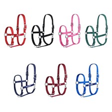 Gallop Horse Masters Best On Horse Equestrian Padded Adjustable Plain Headcollar