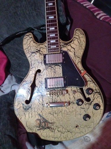 Aria pro semi acoustic - pro, ii