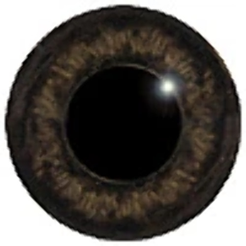 Brown glass crystal - brown, eyes