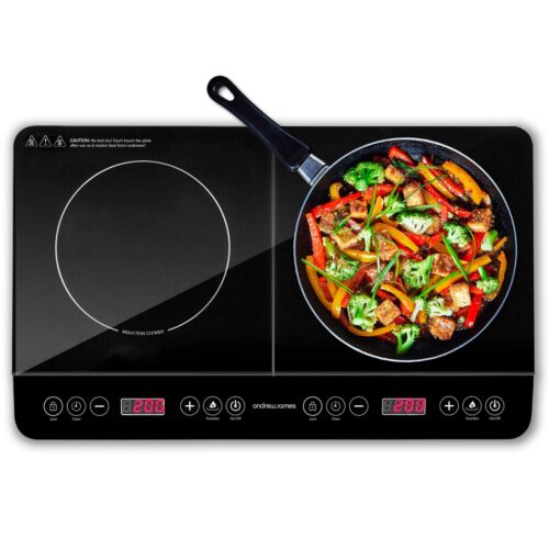 Portable double induction hob - double,