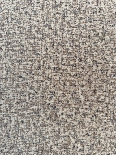 Flotex carpet remnant beige - carpet,