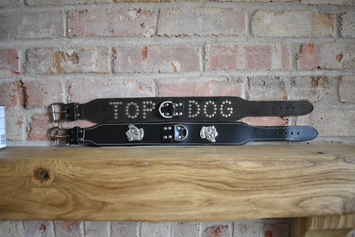 Thick leather dog - thick, collar