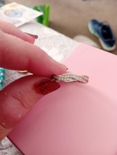 Sliver Ring Warren James