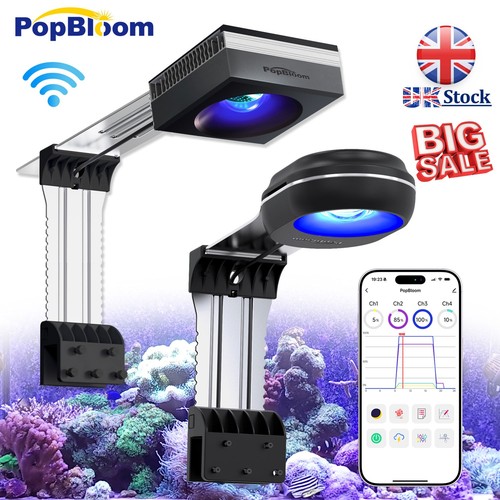 Popbloom rl60 rl90 wifi - popbloom, marine