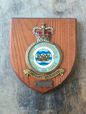 Vintage Royal Air Force RAF