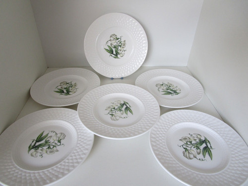 Spode fine bone - 6,