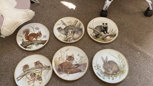 Wedgewood wildlife britain - wedgewood,