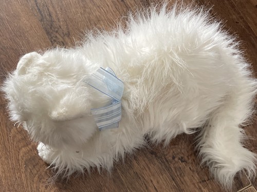 Classic sugar white persian - ty,