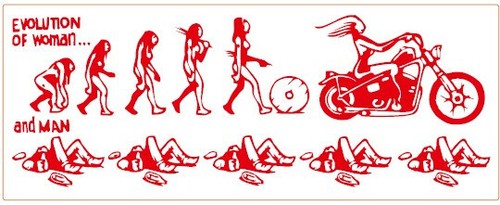 256 hells angels support - angels, 81
