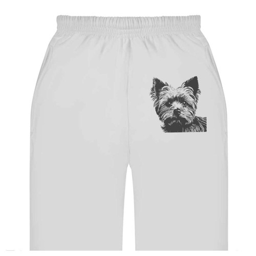 Yorkshire terrier adult - 'yorkshire,