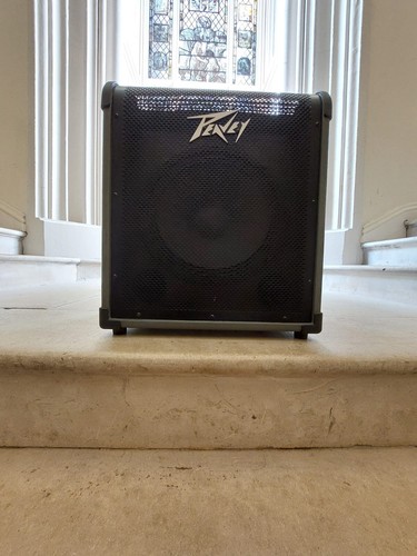 Peavey max 150 bass combo - 150,