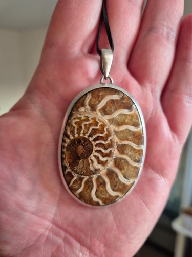 Large 30g natural ammonite - 30g,
