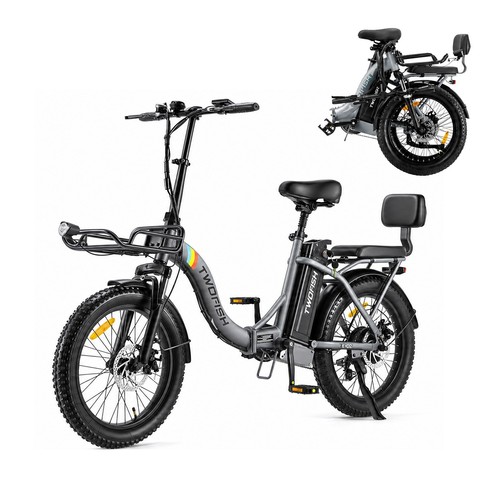 2026 new twofish electric bike - twofish,