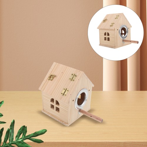 Bird nest parakeet - nest,