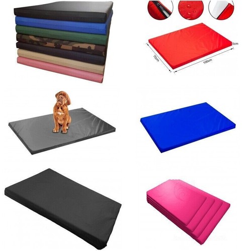 Dog cat bed pet - dog, water