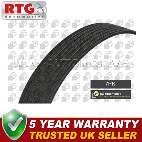 Ribbed drive belt fits - drive,