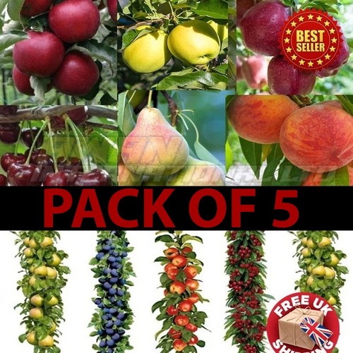 Pack orchard bundle - of,