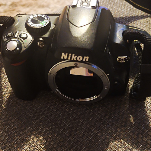 Nikon d60 digital slr camera - nikon,