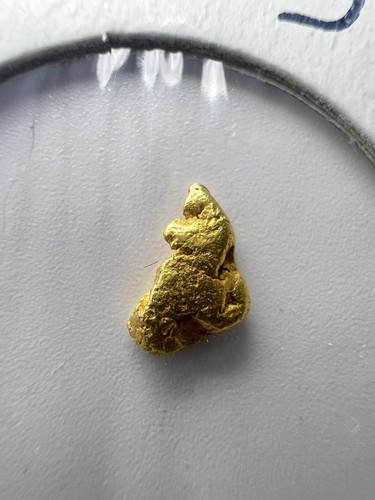 Gold nugget hand panned - nugget, from