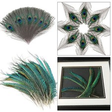 20pcs Natural Peacock Feathers