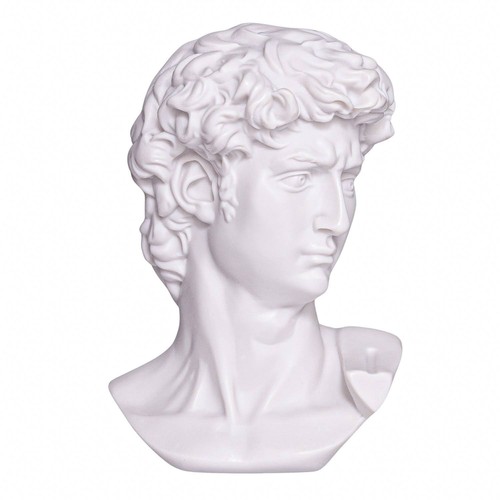 Michelangelo david head - michelangelo,