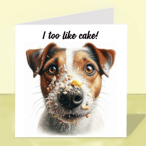 Jack russell terrier - jack,