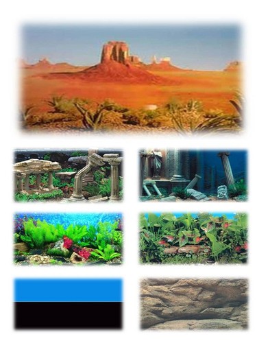 Aquarium fish tank vivarium - tank,