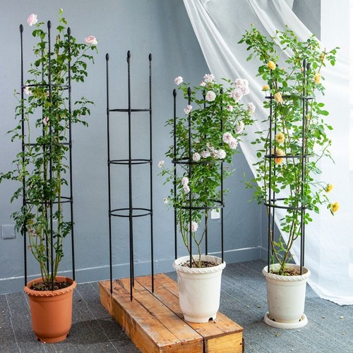 Climbing plants plant support - climbing,