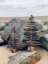 Driftwood Tree Unique