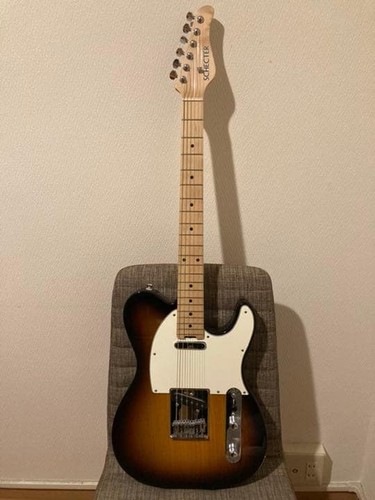 Schecter safe - schecter,